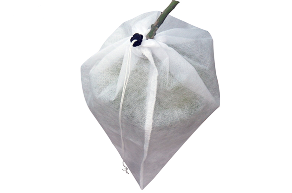 Túi bao trái cây nâng cao năng suất cây trồng