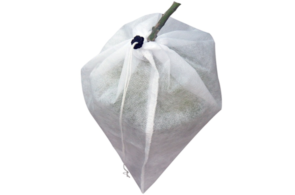 Túi vải không dệt bao trái cây – “Vải không dệt Kinh Bắc”