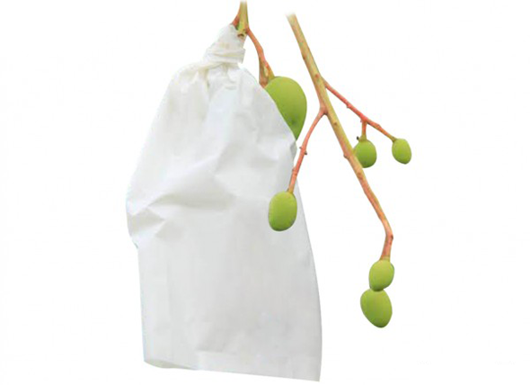 Túi vải không dệt bao trái cây - 