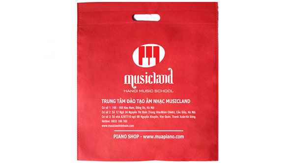 Túi vải không dệt du học - 