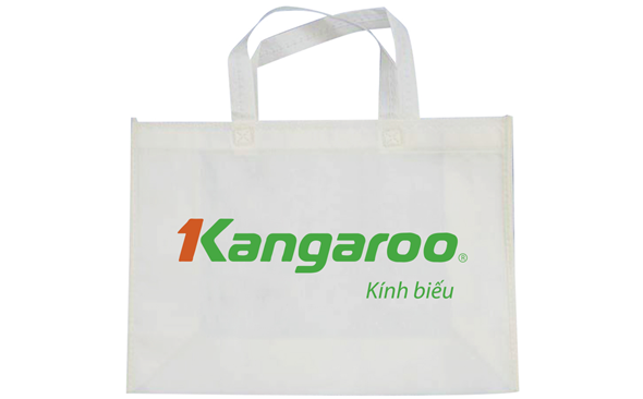 Túi vải không dệt đựng quà tặng – “Vải không dệt Kinh Bắc”    