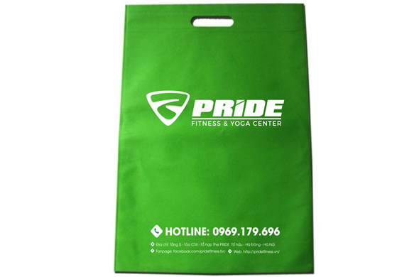 Túi vải không dệt ép nhiệt đục lỗ - “Vải không dệt Kinh Bắc”