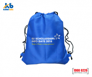 Túi vải không dệt du học - TDH13