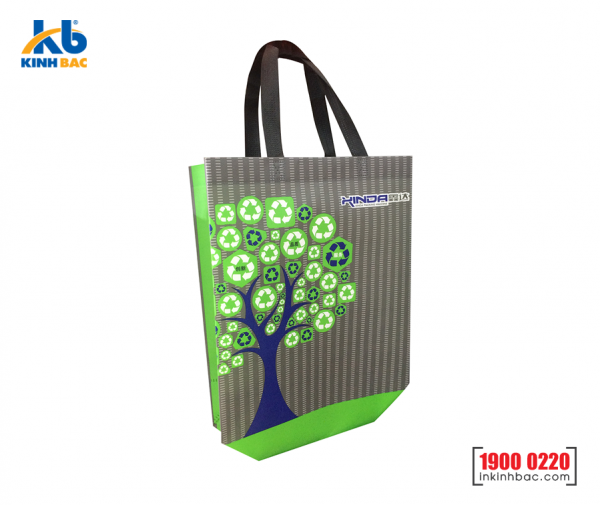 Túi vải không dệt quà tặng - TQT06