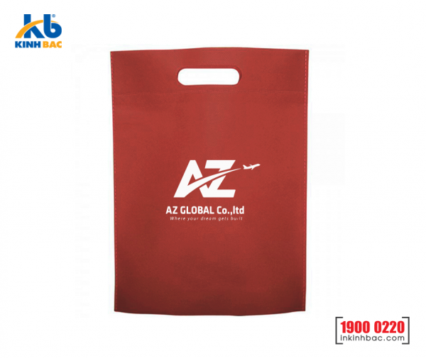 Túi vải không dệt du học - TDH09