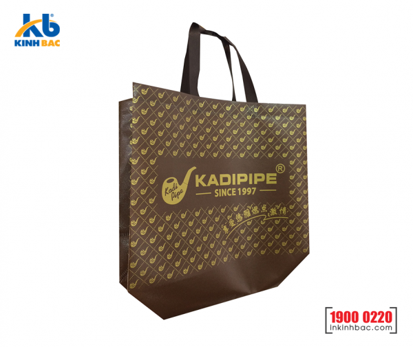 Túi vải không dệt quà tặng - TQT07