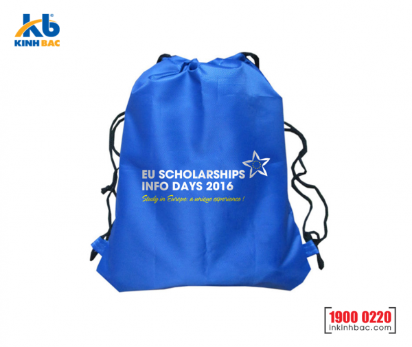Túi vải không dệt du học - TDH13