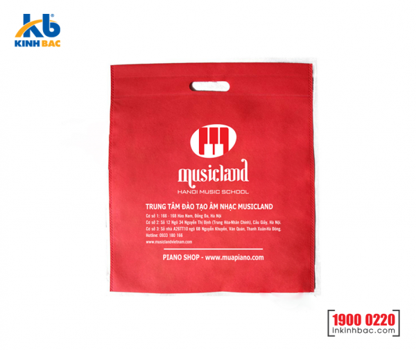 Túi vải không dệt du học - TDH03