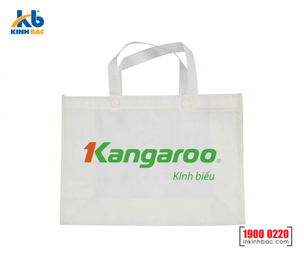 Túi vải không dệt quà tặng - TQT10