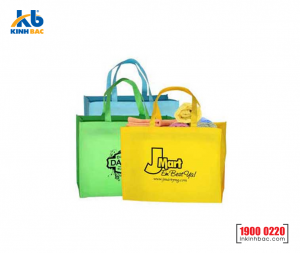Túi vải không dệt siêu thị - TST11
