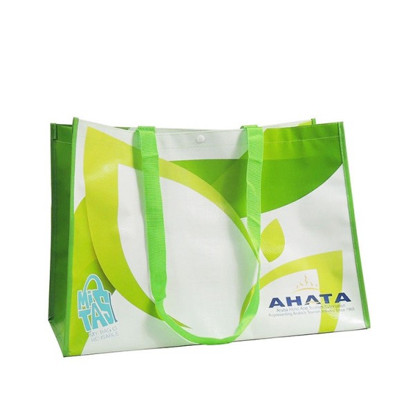 Túi pp dệt giá rẻ - TPP01