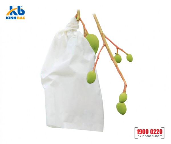 Túi bao trái cây - BTC01