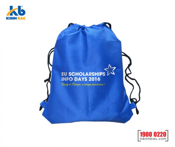Túi vải không dệt dây rút - TDR08