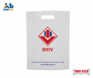 Túi vải không dệt ngân hàng - TNH10