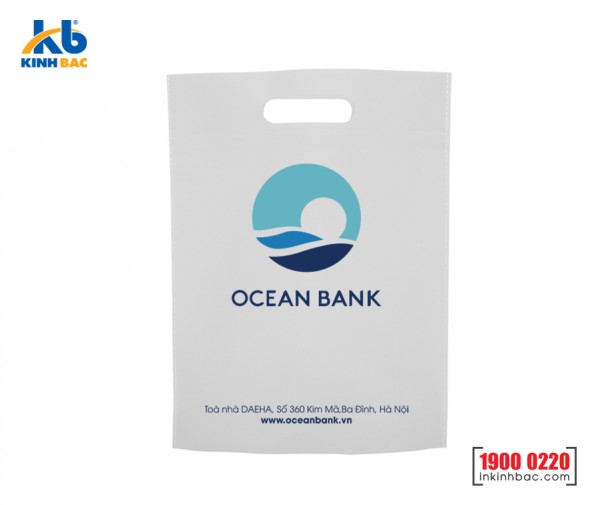 Túi vải không dệt ngân hàng - TNH13